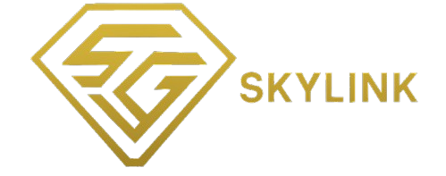Skylink Group